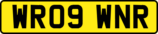 WR09WNR