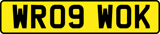 WR09WOK