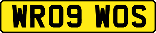 WR09WOS
