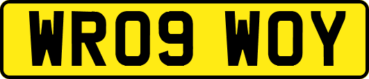 WR09WOY