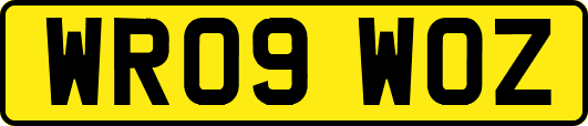 WR09WOZ