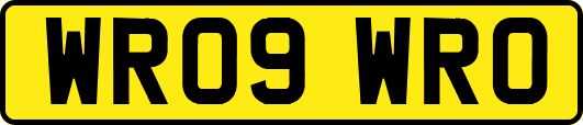 WR09WRO