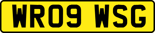 WR09WSG