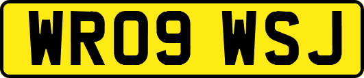 WR09WSJ