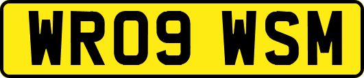 WR09WSM