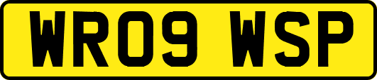 WR09WSP