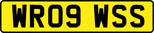 WR09WSS