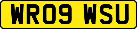 WR09WSU