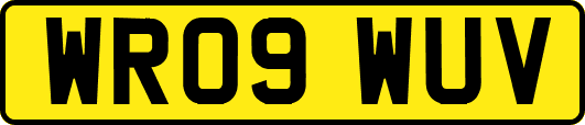 WR09WUV