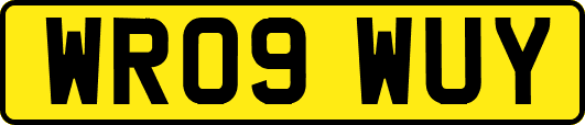 WR09WUY