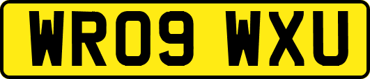 WR09WXU