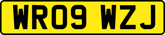 WR09WZJ