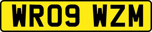 WR09WZM