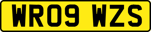 WR09WZS