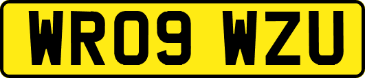 WR09WZU
