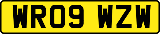 WR09WZW