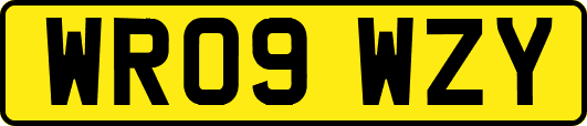 WR09WZY
