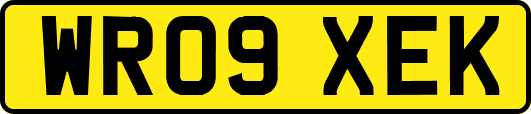 WR09XEK