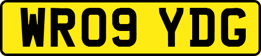 WR09YDG