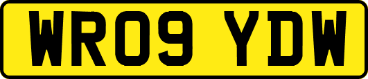 WR09YDW