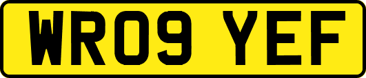 WR09YEF