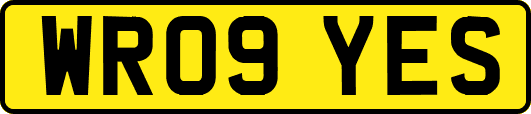WR09YES