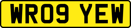 WR09YEW