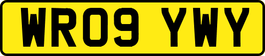 WR09YWY