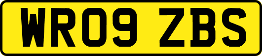WR09ZBS