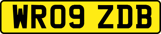 WR09ZDB