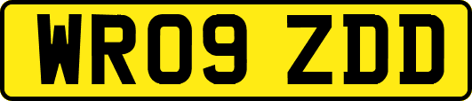 WR09ZDD
