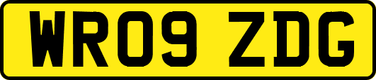 WR09ZDG