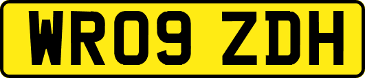 WR09ZDH