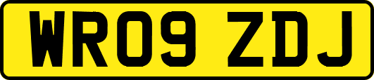 WR09ZDJ