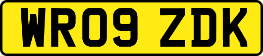 WR09ZDK