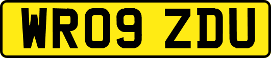 WR09ZDU