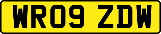 WR09ZDW