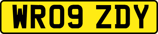WR09ZDY