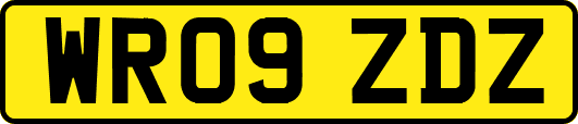WR09ZDZ