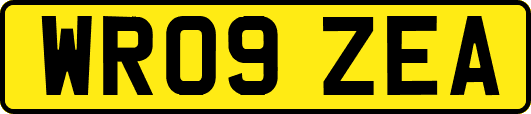 WR09ZEA