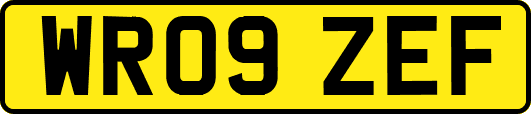 WR09ZEF