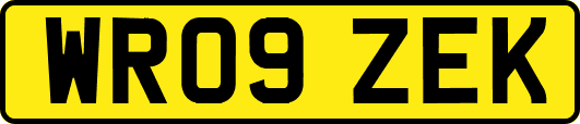 WR09ZEK
