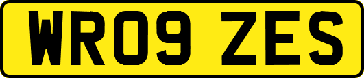 WR09ZES