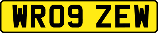 WR09ZEW