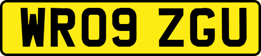 WR09ZGU