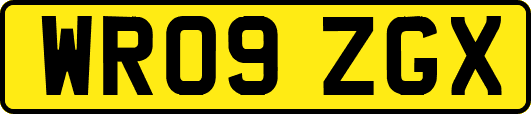 WR09ZGX