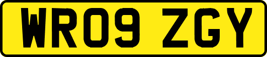 WR09ZGY