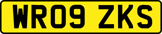 WR09ZKS