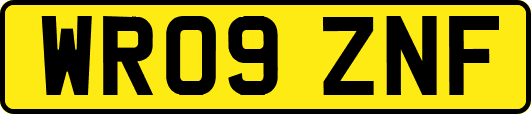 WR09ZNF