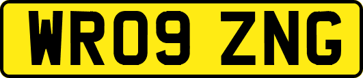 WR09ZNG